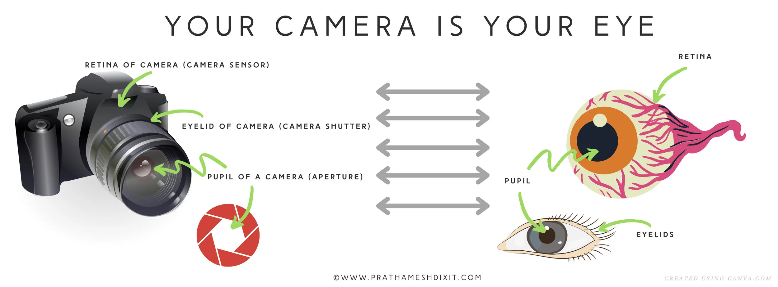 understand your camera.jpg