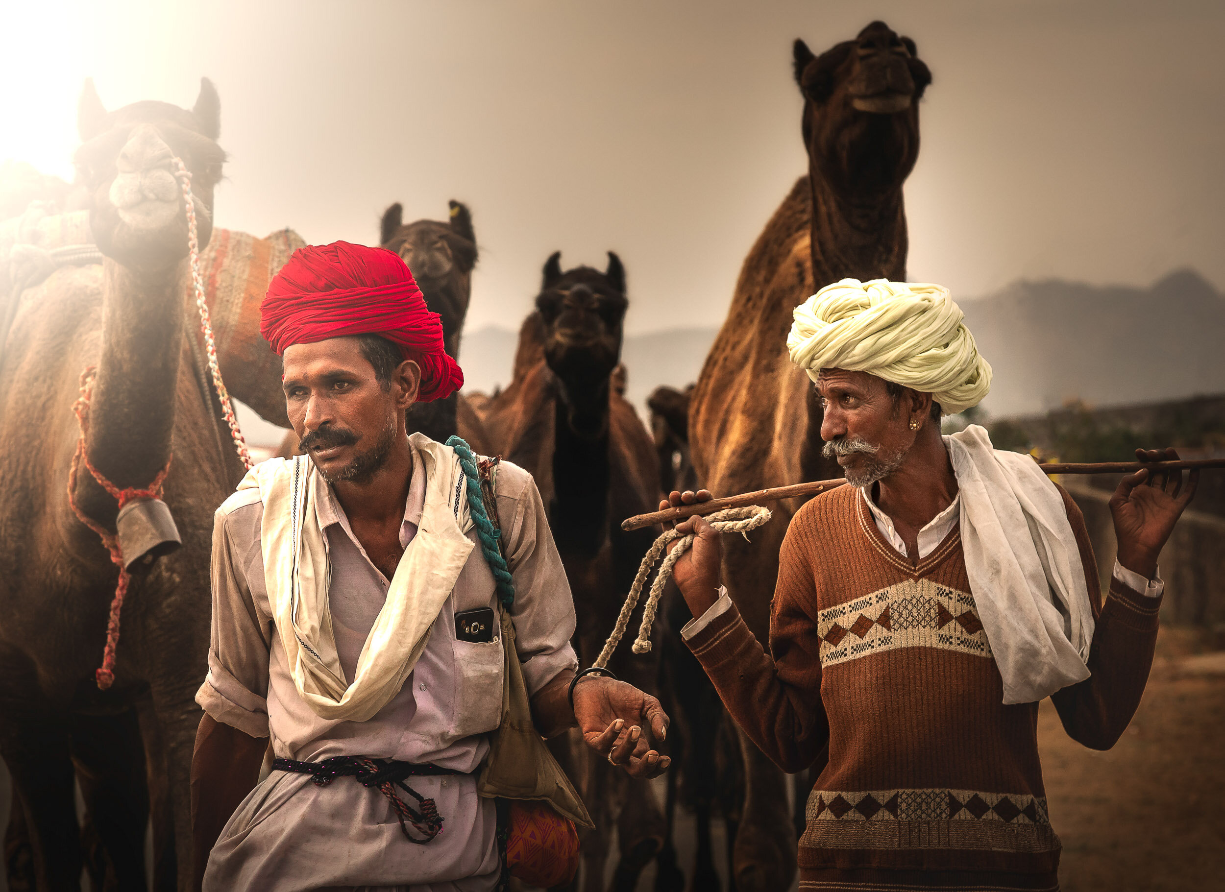 Rural Camel Traders of Pushkar Fair