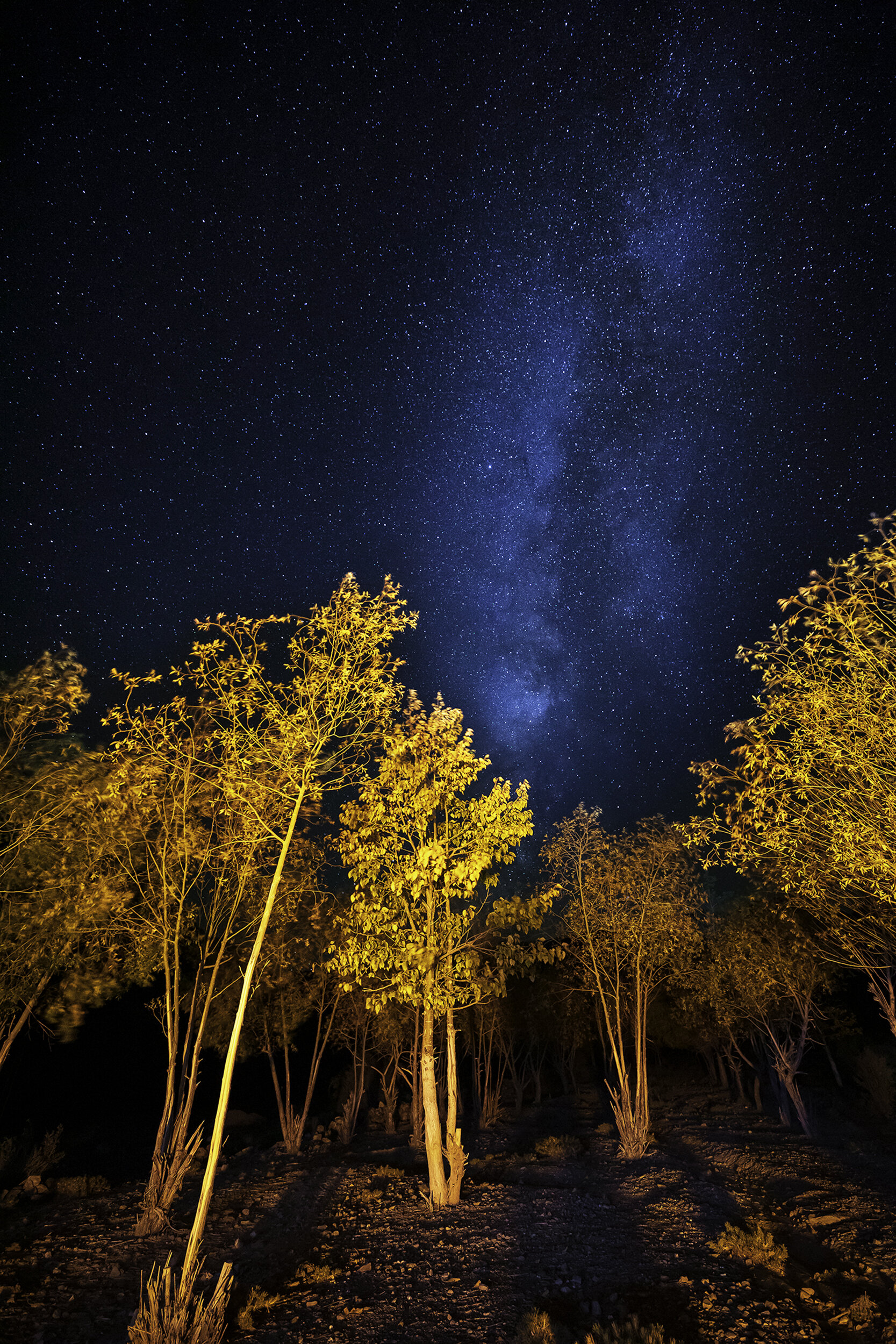 milkyway in spiti by prathamesh dixit.jpg